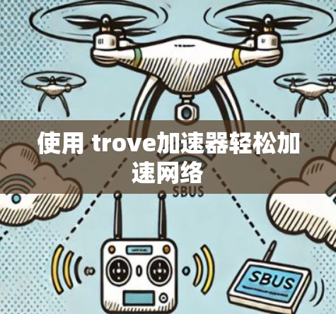 使用 trove加速器轻松加速网络