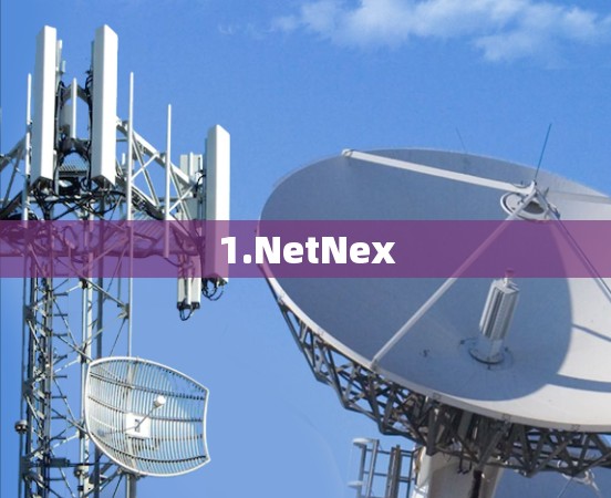 1.NetNex