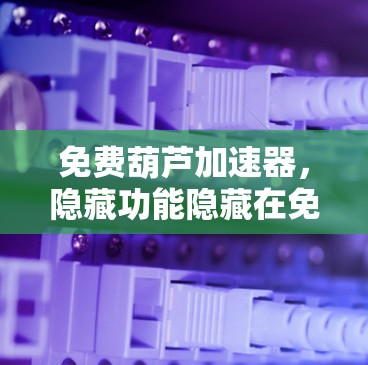 免费葫芦加速器,隐藏功能隐藏在免费背后 免费葫芦加速器,隐藏功能隐藏在免费背后