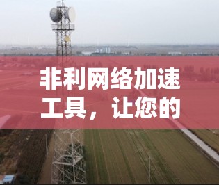非利网络加速工具,让您的网络加速更轻松与高效 非利网络加速工具,让您的网络加速更轻松与高效
