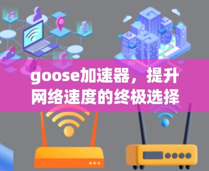 goose加速器，提升网络速度的终极选择
