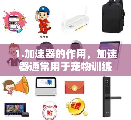 1.加速器的作用，加速器通常用于宠物训练，帮助宠物更快地完成训练，比如跳跃训练、跳跃背滚等。它可能包括训练设备、食物、方法或时间调整等