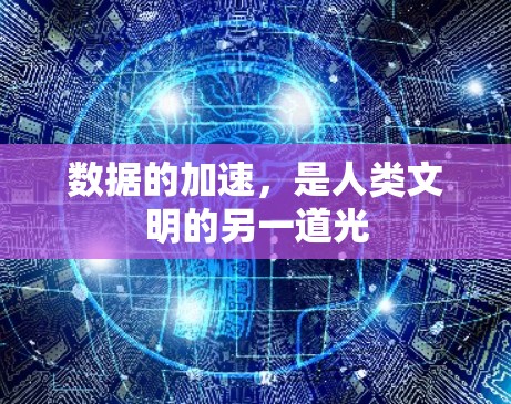 数据的加速,是人类文明的另一道光 数据的加速,是人类文明的另一道光