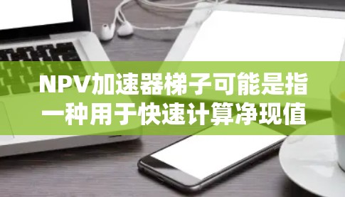 NPV加速器梯子可能是指一种用于快速计算净现值（NPV）的图表或工具，类似于Excel中的表格或数据分析工具。以下是一些可能的解释
