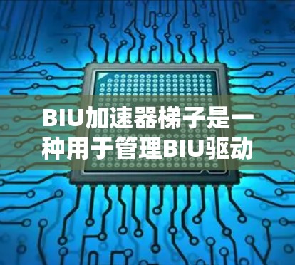 BIU加速器梯子是一种用于管理BIU驱动系统和BIU Office的加速器工具，通常由BIU公司提供。以下是关于BIU加速器梯子的详细步骤说明