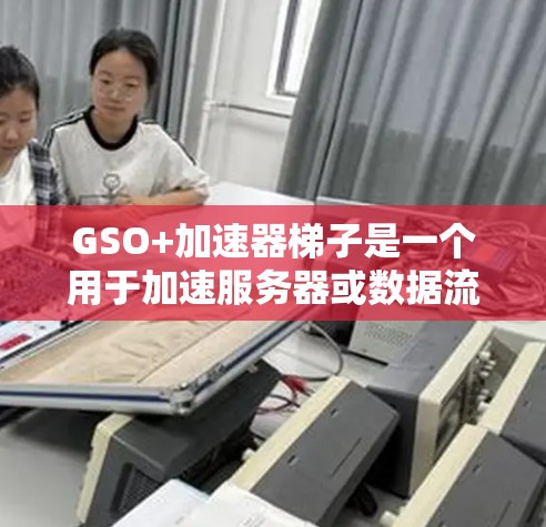 GSO+加速器梯子是一个用于加速服务器或数据流的设备,通常由多个部分组成,包括加速器本体、电源适配器、充电器、连接线和电源适配器。以下是对该设备的详细介绍 GSO+加速器梯子是一个用于加速服务器或数据流的设备,通常由多个部分组成,包括加速器本体、电源适配器、充电器、连接线和电源适配器。以下是对该设备的详细介绍