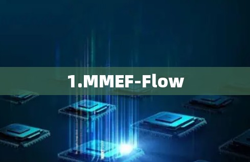 1.MMEF-Flow 1.MMEF-Flow