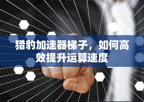 猎豹加速器梯子，如何高效提升运算速度