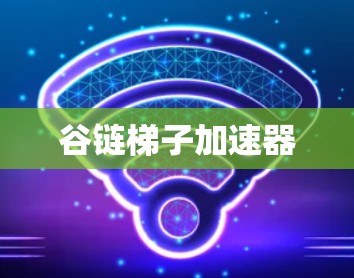 谷链梯子加速器 谷链梯子加速器