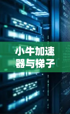 小牛加速器与梯子的完美配合—安装与使用指南
