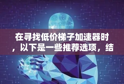 在寻找低价梯子加速器时,以下是一些推荐选项,结合免费版和付费版的功能,帮助您做出明智的选择 在寻找低价梯子加速器时,以下是一些推荐选项,结合免费版和付费版的功能,帮助您做出明智的选择