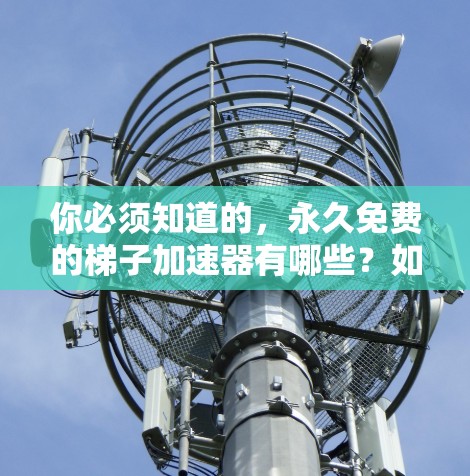 你必须知道的，永久免费的梯子加速器有哪些？如何选择？