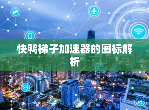 快鸭梯子加速器的图标解析