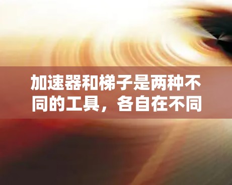加速器和梯子是两种不同的工具，各自在不同的领域和目的下使用。以下是对它们的详细比较