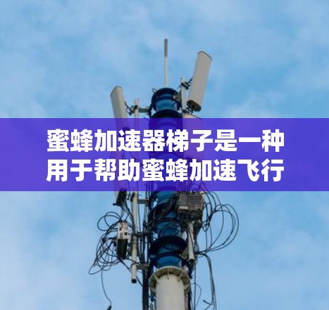 蜜蜂加速器梯子是一种用于帮助蜜蜂加速飞行的装置，广泛应用于蜂巢内部和窗户外面。以下是其详细介绍