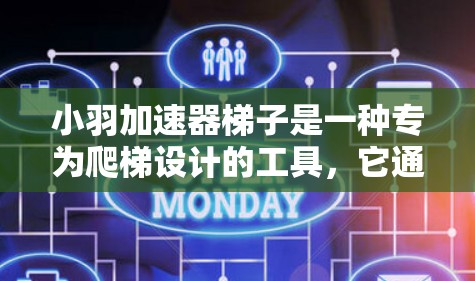 小羽加速器梯子是一种专为爬梯设计的工具，它通过增加梯子表面的摩擦力，帮助人们在爬梯时更安全、更迅速。以下是小羽加速器梯子的使用指南，帮助您更好地理解和使用它