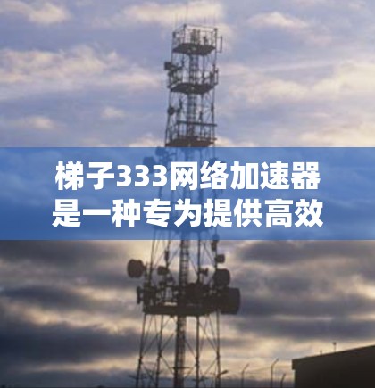 梯子333网络加速器是一种专为提供高效网络连接而设计的设备或软件，通常用于在手机或电脑上快速连接到互联网。以下是对梯子333的详细介绍
