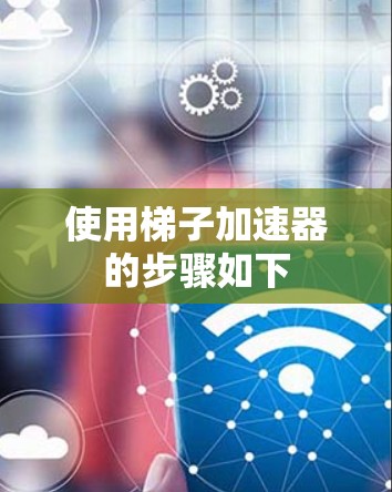 使用梯子加速器的步骤如下