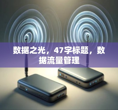 数据之光，47字标题，数据流量管理