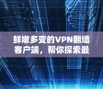 鲜嫩多变的VPN翻墙客户端,帮你探索最私密的网络世界 鲜嫩多变的VPN翻墙客户端,帮你探索最私密的网络世界