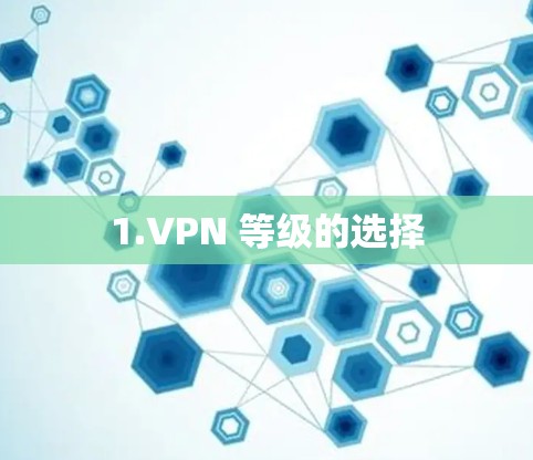 1.VPN 等级的选择 1.VPN 等级的选择