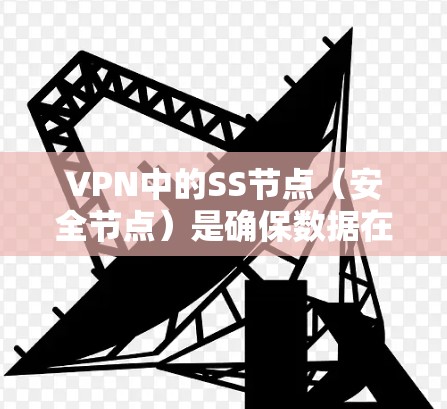 VPN中的SS节点（安全节点）是确保数据在传输过程中的安全和加密的关键部分。以下是关于VPNSS节点的推荐和建议，帮助用户更好地配置和使用VPN