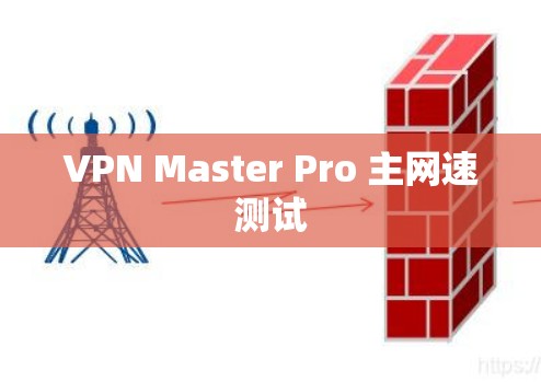 VPN Master Pro 主网速测试