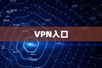 VPN入口