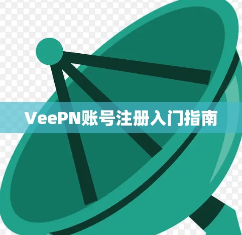 VeePN账号注册入门指南