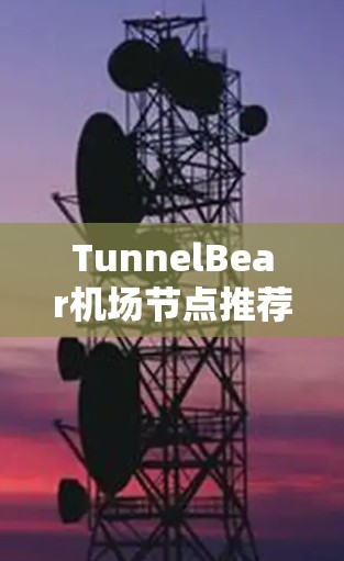 TunnelBear机场节点推荐，AI云存储与服务器解决方案