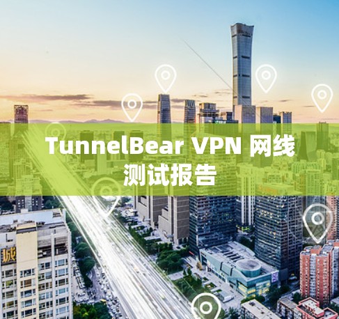 TunnelBear VPN 网线测试报告
