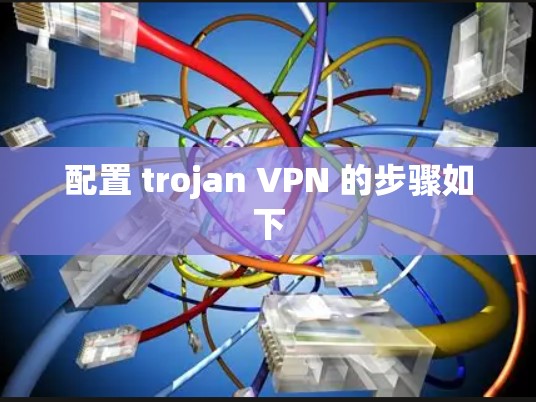 配置 trojan VPN 的步骤如下 配置 trojan VPN 的步骤如下