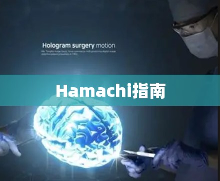 Hamachi指南 Hamachi指南