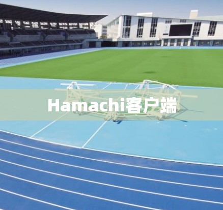 Hamachi客户端