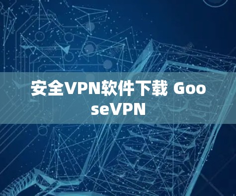 安全VPN软件下载 GooseVPN