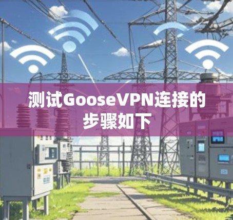 测试GooseVPN连接的步骤如下 测试GooseVPN连接的步骤如下