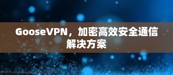 GooseVPN,加密高效安全通信解决方案 GooseVPN,加密高效安全通信解决方案
