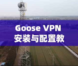 Goose VPN 安装与配置教程 Goose VPN 安装与配置教程