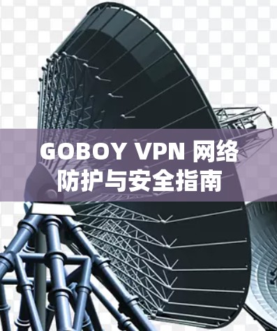 GOBOY VPN 网络防护与安全指南