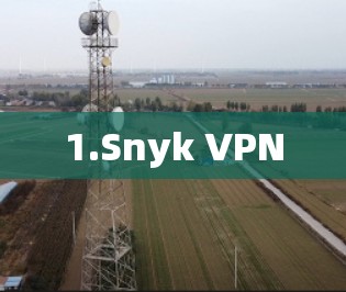 1.Snyk VPN 1.Snyk VPN