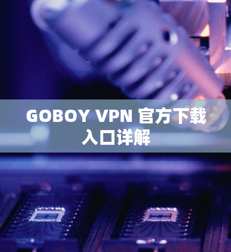 GOBOY VPN 官方下载入口详解 GOBOY VPN 官方下载入口详解