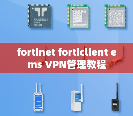 fortinet forticlient ems VPN管理教程 fortinet forticlient ems VPN管理教程