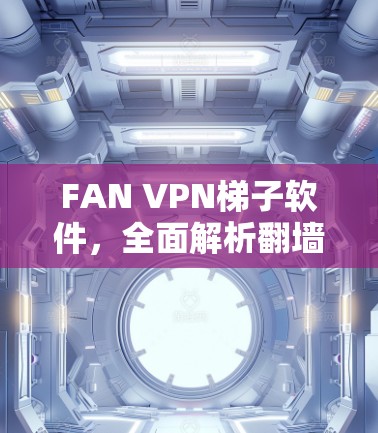 FAN VPN梯子软件，全面解析翻墙工具的性能与安全