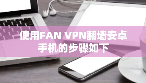 使用FAN VPN翻墙安卓手机的步骤如下