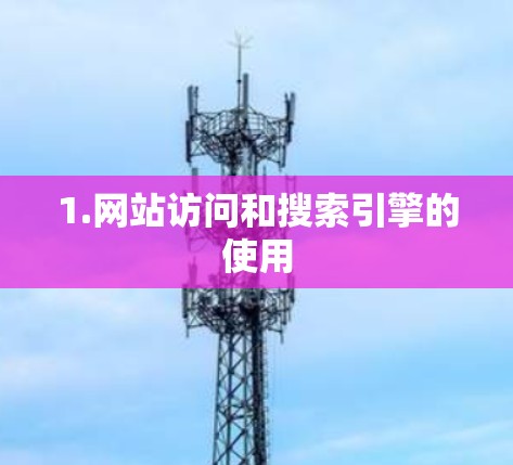 1.网站访问和搜索引擎的使用 1.网站访问和搜索引擎的使用