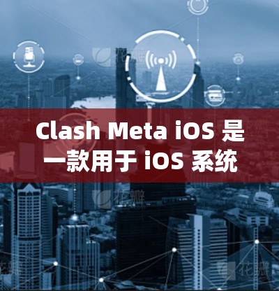 Clash Meta iOS 是一款用于 iOS 系统的控制游戏应用，旨在帮助用户控制游戏中的角色。以下是一步步的使用指南