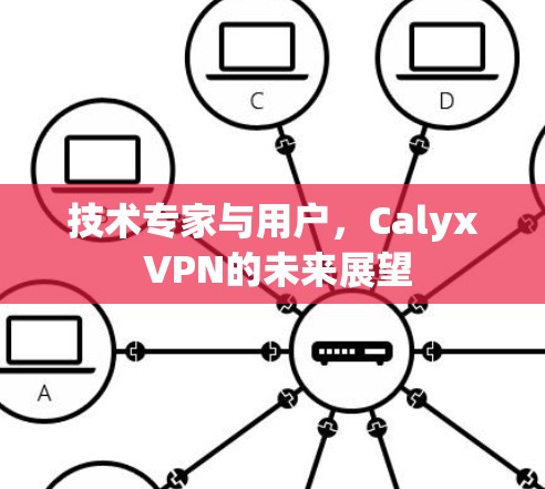 技术专家与用户,Calyx VPN的未来展望 技术专家与用户,Calyx VPN的未来展望
