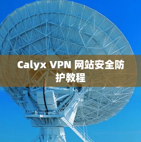 Calyx VPN 网站安全防护教程