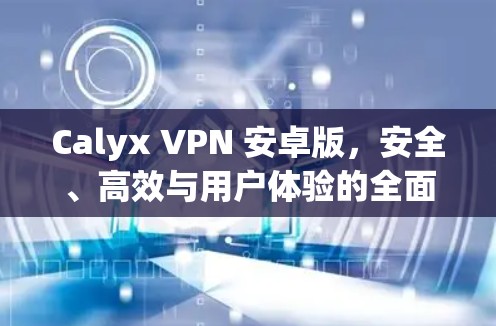 Calyx VPN 安卓版，安全、高效与用户体验的全面解决方案