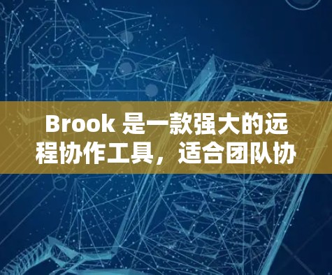 Brook 是一款强大的远程协作工具,适合团队协作、文件共享、文档编写和项目管理。以下是使用 Brook 的基本配置指南 Brook 是一款强大的远程协作工具,适合团队协作、文件共享、文档编写和项目管理。以下是使用 Brook 的基本配置指南